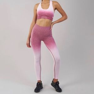 Pink ombré gym shark leggings W/ sports bra